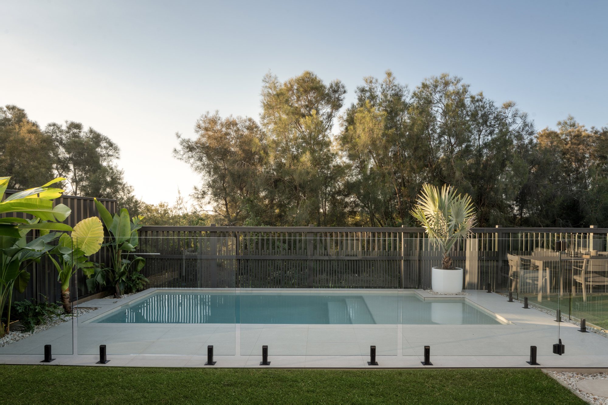 Pool and backyard